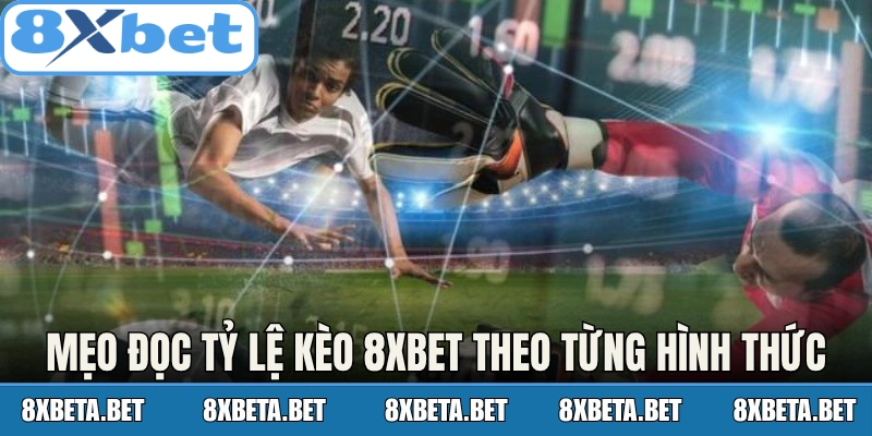 Mẹo đọc tỷ lệ kèo 8Xbet theo từng hình thức
