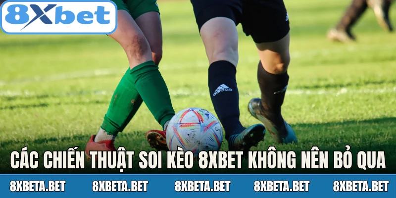 Các chiến thuật soi kèo 8Xbet không nên bỏ qua